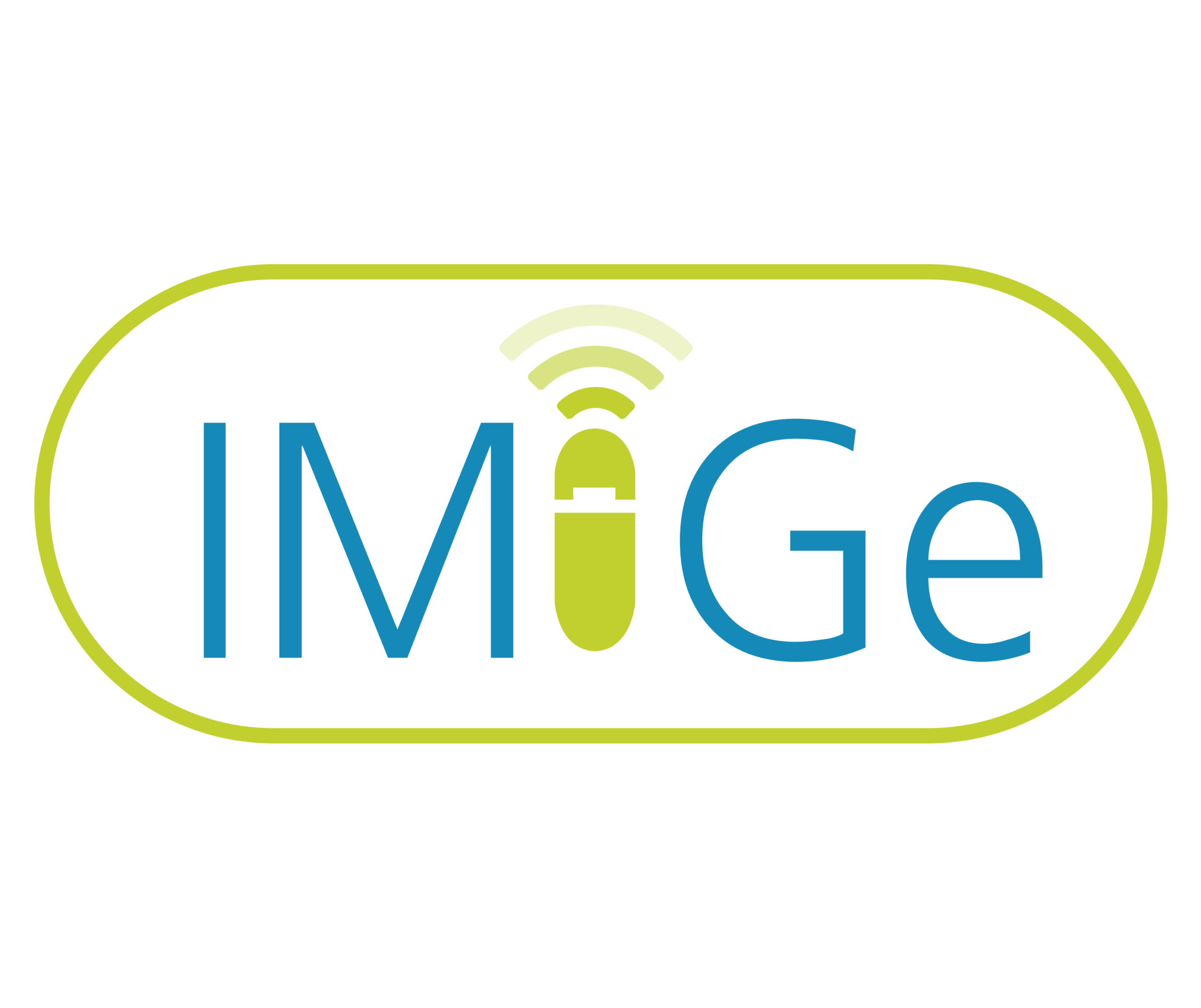 imige logo